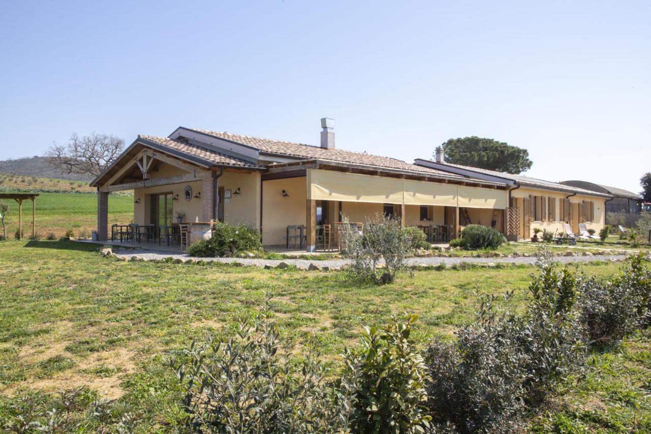 Agriturismo Casa Ricci Magliano in Toscana Εξωτερικό φωτογραφία