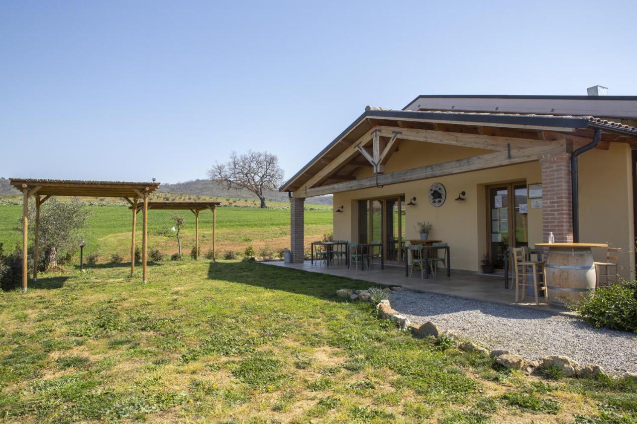 Agriturismo Casa Ricci Magliano in Toscana Εξωτερικό φωτογραφία